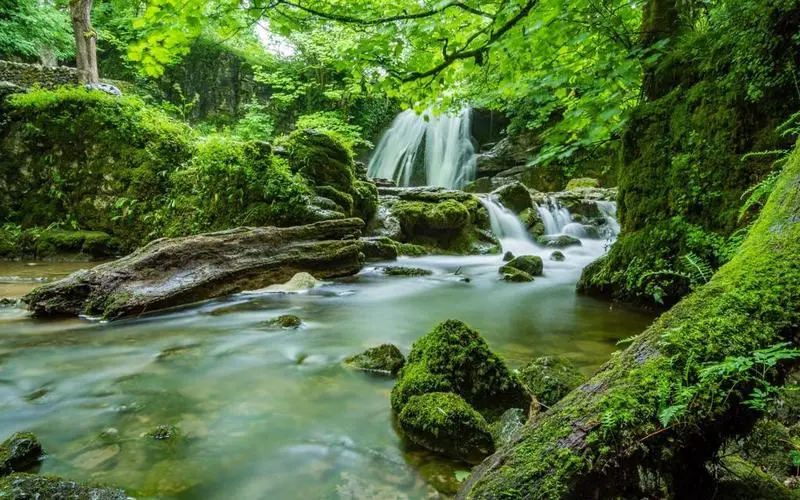 高标准先进高端